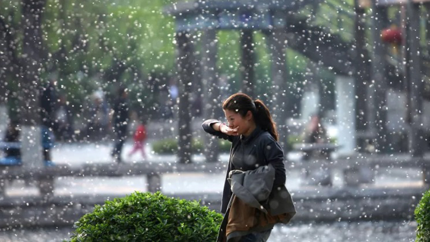 Has it become &ldquo;a epidemic disease in the new century&rdquo; that the allergy season becomes longer and longer and there are more and more allergic sufferers? 